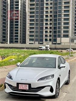 بي واي دي سيل 06 DM-i